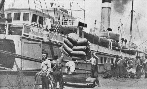 Discharging Coffee From a Steamer Just Arrived From Central America