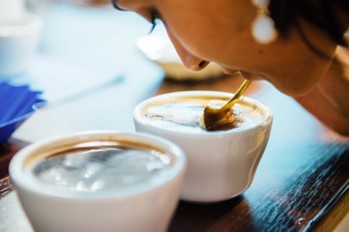 Setting up a coffee cupping session, Breaking the Crust Aroma.